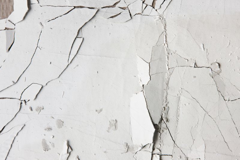House Stucco Repair in Marin County, CA